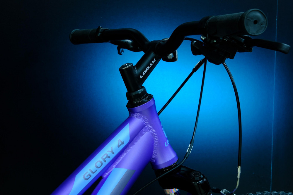 Lorak Glory 4 Матовый Фиолетовый/Голубой рама 15 (на рост 141-160)