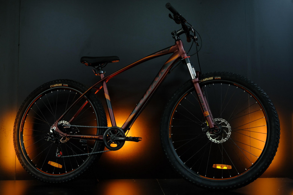 LORAK Safe PLUS 29 Матовый Коричневый